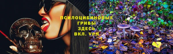 ECSTASY Михайловка