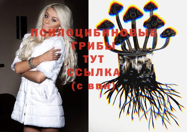 спайс Магас