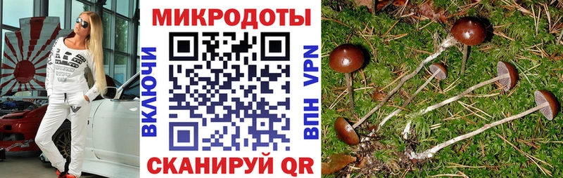 Галлюциногенные грибы MAGIC MUSHROOMS  купить наркотики сайты  Исилькуль 
