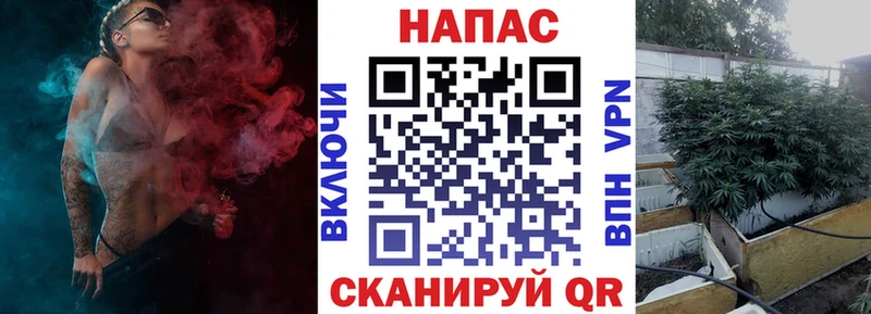 Бошки Шишки семена  omg рабочий сайт  Исилькуль  как найти закладки 